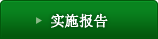 实施报告