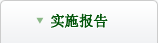 实施报告
